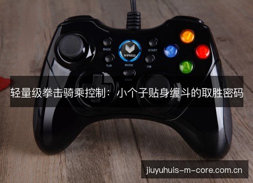 轻量级拳击骑乘控制：小个子贴身缠斗的取胜密码